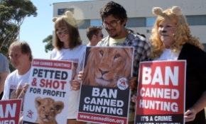 Ban canned lion hunting supporters 4