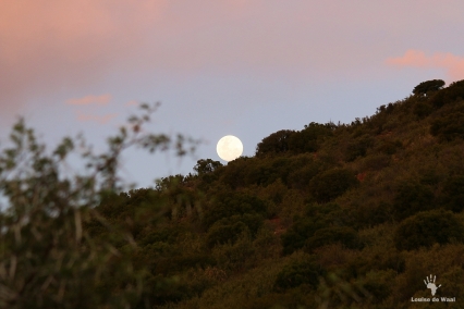 Full moon rising over Gamkaberg