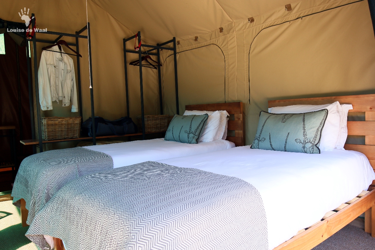 Tent interior Eco Camp Gondwana Game Reserve