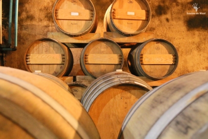 Mellasat Vineyards white pinotage cellar, Paarl Cape Winelands