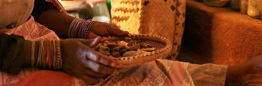 Traditional healer Limpopo